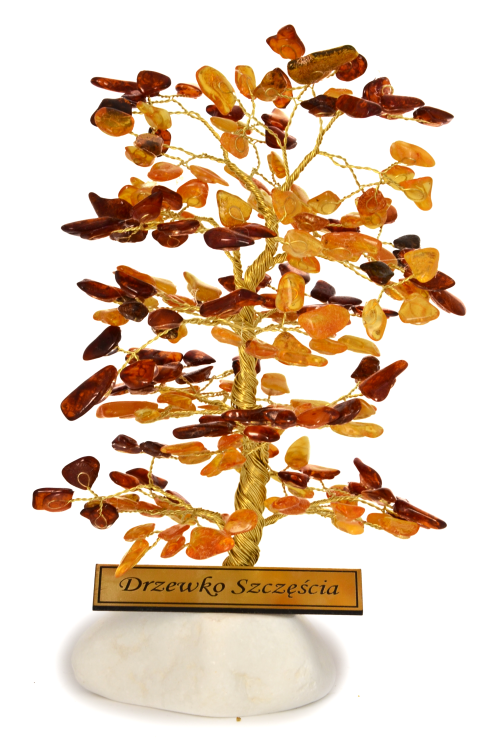 DSC_3222.png