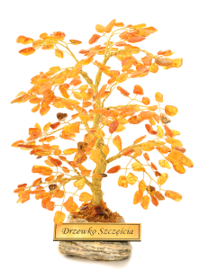 DSC_3245.png
