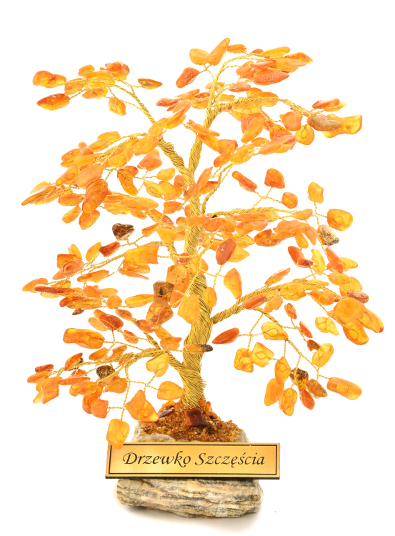 DSC_3245.png