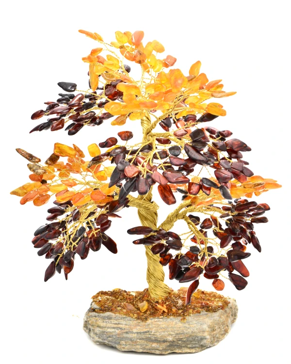 DSC_3407.png