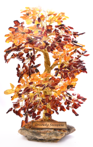 DSC_3452.png